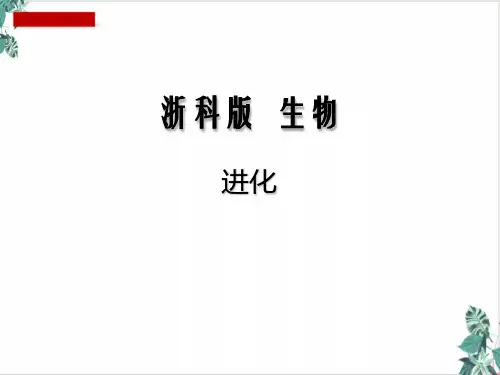 变异和进化进化-浙江高考生物一轮复习优质PPT公开课PPT