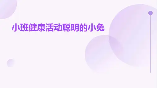 小班健康活动聪明的小兔PPT