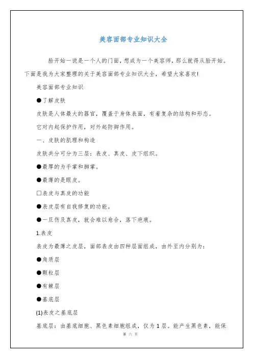 美容面部专业知识大全