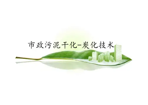 污泥干化炭化技术