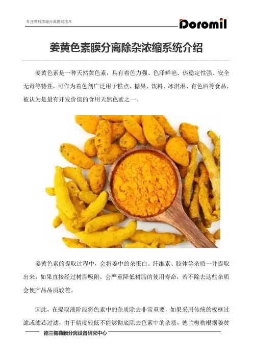 姜黄色素膜分离除杂浓缩系统介绍