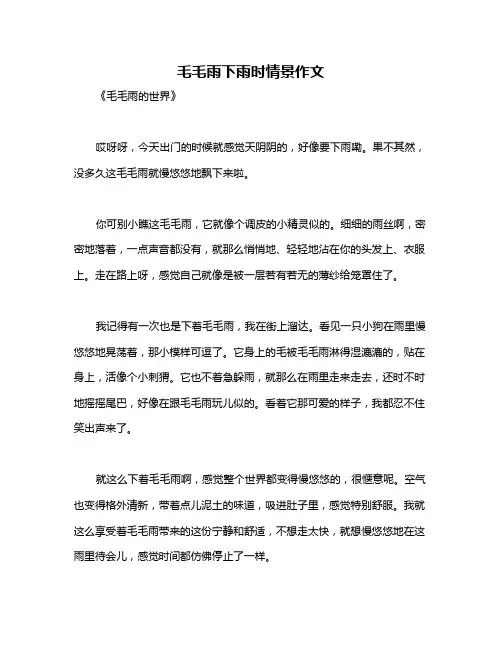 毛毛雨下雨时情景作文