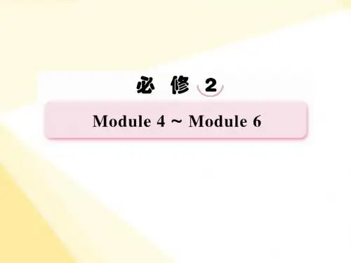 高考英语总复习写作进行时(2)提纲类作文课件 外研版