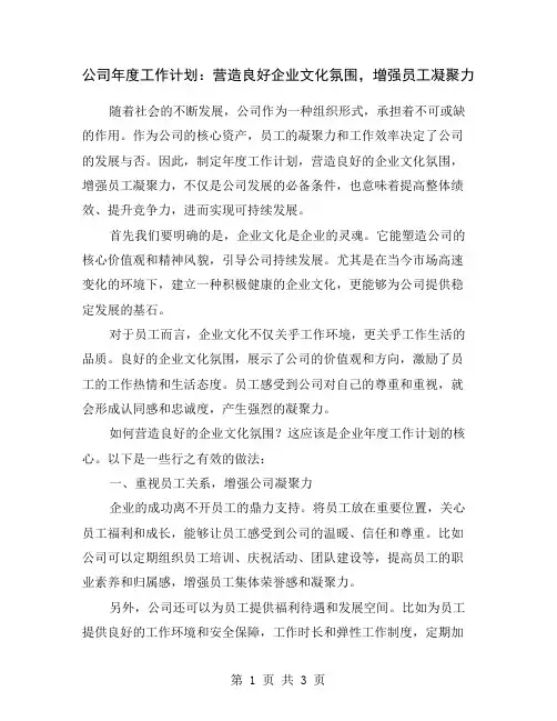 公司年度工作计划：营造良好企业文化氛围,增强员工凝聚力