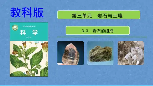 新教科版四年级下册科学3.3《岩石的组成》ppt课件