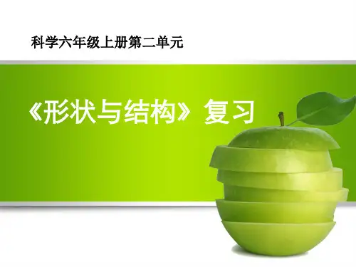 小学六年级科学上第二单元《形状与结构》复习