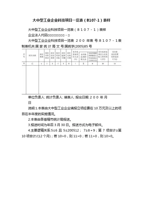大中型工业企业科技项目一览表（B107-1）表样