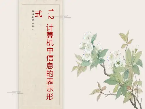 计算机信息的表示形式