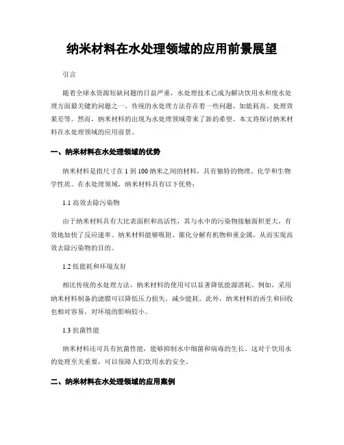 纳米材料在水处理领域的应用前景展望