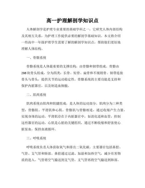 高一护理解剖学知识点