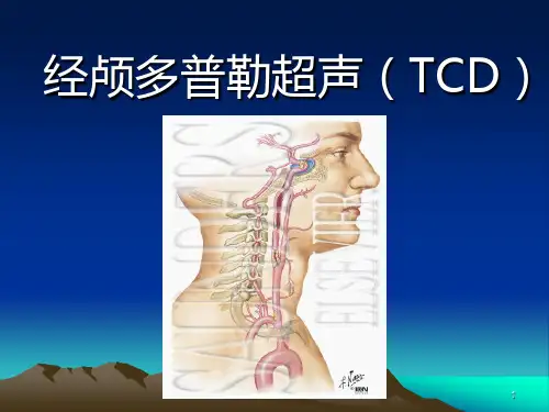 经颅多普勒超声PPT课件