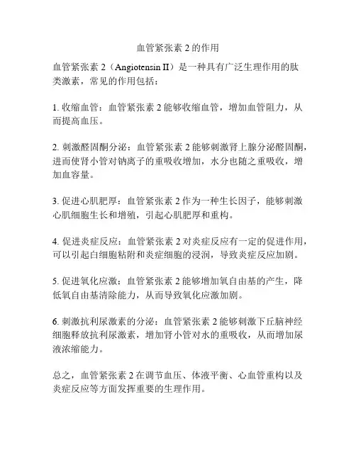 血管紧张素2的作用
