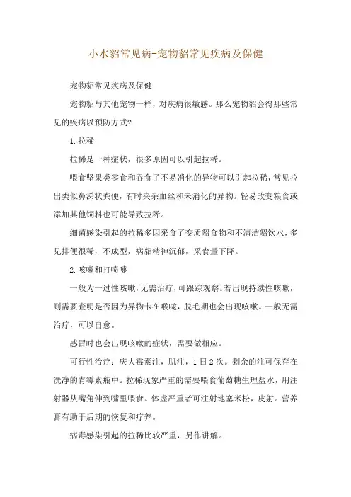 小水貂常见病-宠物貂常见疾病及保健