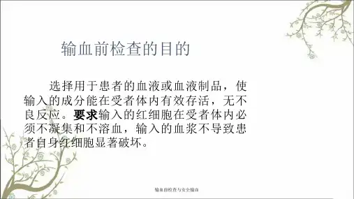 输血前检查与安全输血