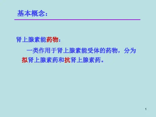 10第十二章作用于肾上腺素能受体的药物杜-精选文档-精选文档