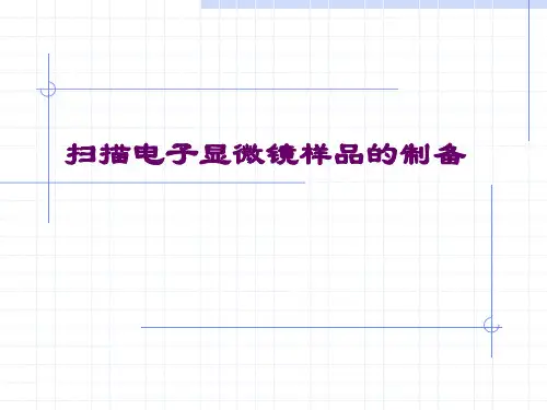 扫描电子显微镜样品的制备