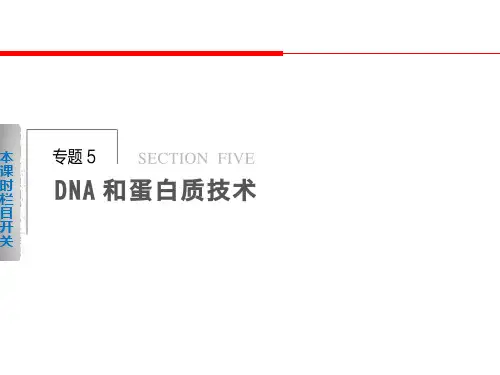 人教版2017年高一生物DNA的粗提取与鉴定(30页)(教学课件)资料