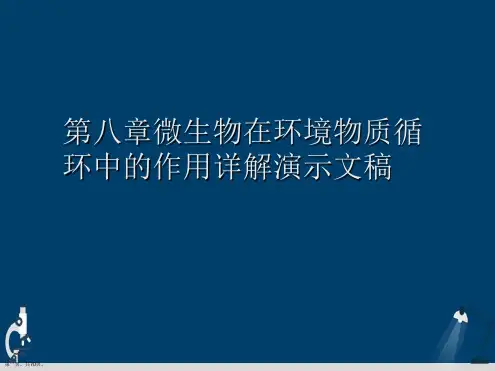第八章微生物在环境物质循环中的作用详解演示文稿