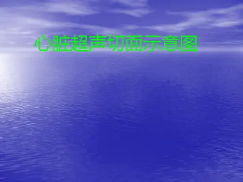 心脏超声切面示意