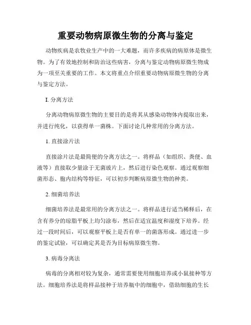 重要动物病原微生物的分离与鉴定