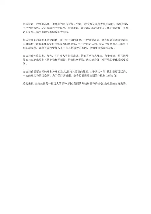 金吉拉是什么品种的猫