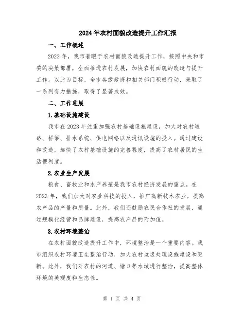 2024年农村面貌改造提升工作汇报