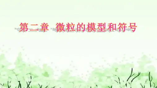 第2章 微粒的模型与符号 复习(课件 49张ppt)