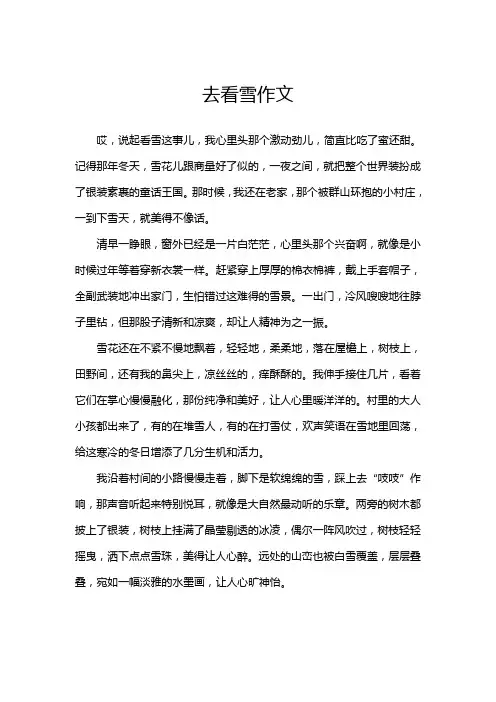 去看雪作文