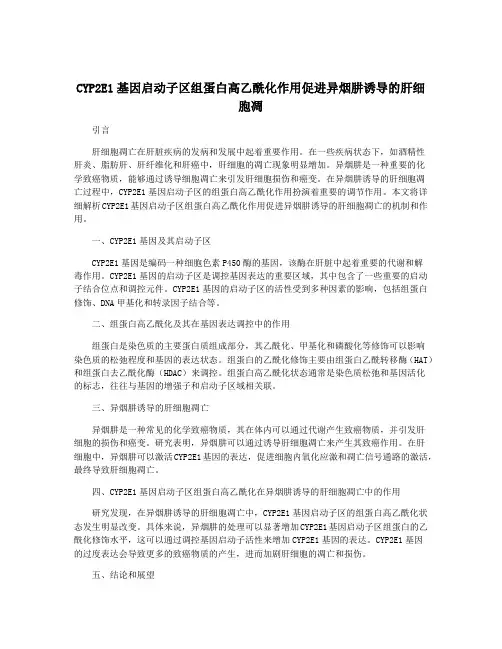 CYP2E1基因启动子区组蛋白高乙酰化作用促进异烟肼诱导的肝细胞凋