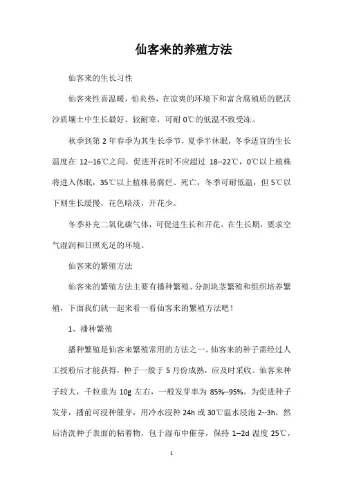 仙客来的养殖方法