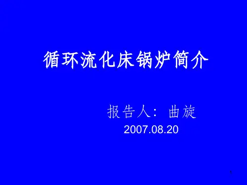 CFB锅炉简介
