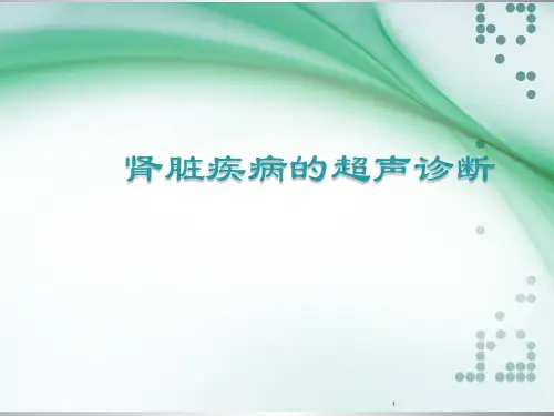 肾脏超声诊断PPT参考课件