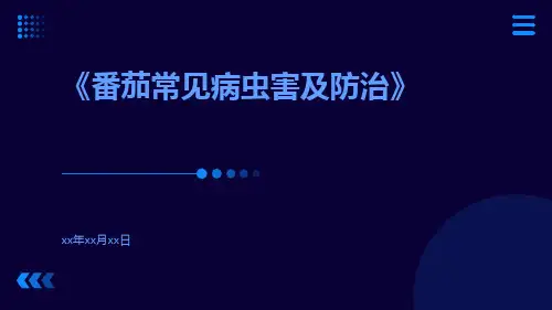 番茄常见病虫害及防治