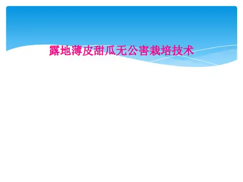露地薄皮甜瓜无公害栽培技术