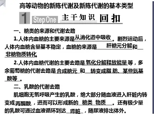 高等动物新陈代谢及新陈代谢基本类型