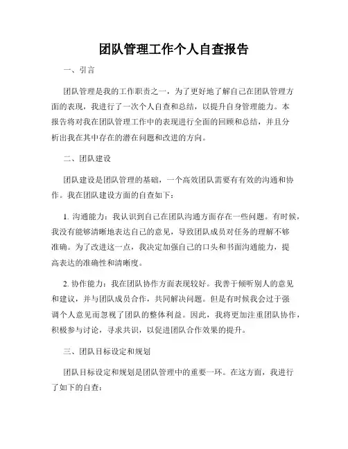 团队管理工作个人自查报告