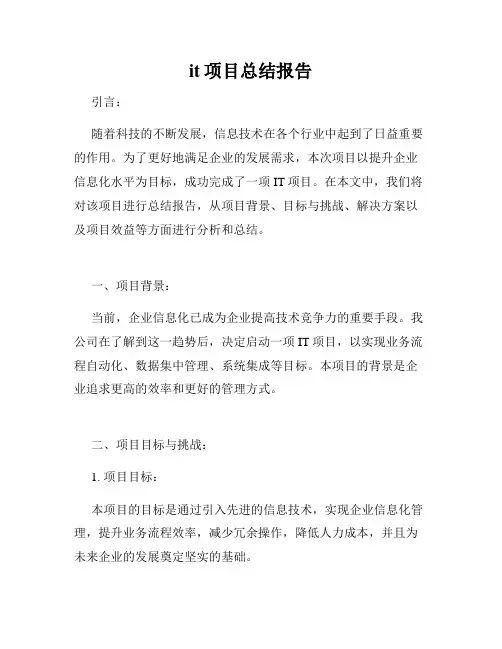 it项目总结报告