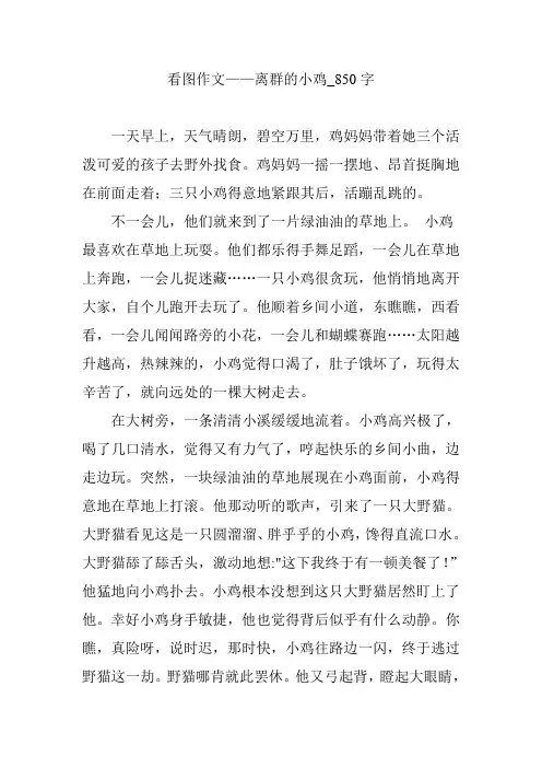 看图作文——离群的小鸡_850字