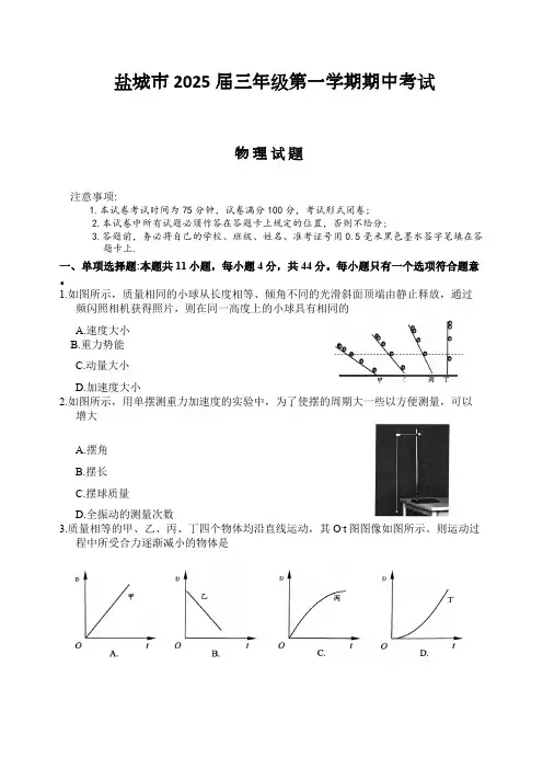 江苏省盐城市2024-2025学年高三上学期11月期中物理试题(无答案)