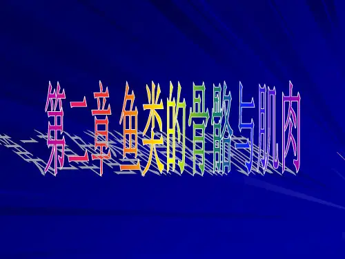 鱼类学-3.鱼类的肌肉与骨骼PPT课件