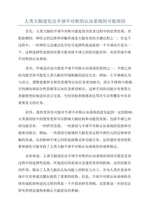 人类大脑进化出半球不对称的认知系统的可能原因