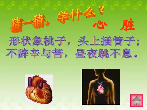 输送血液的泵—心脏ppt【39页】