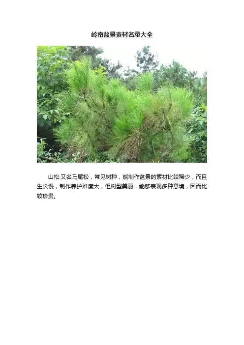 岭南盆景素材名录大全