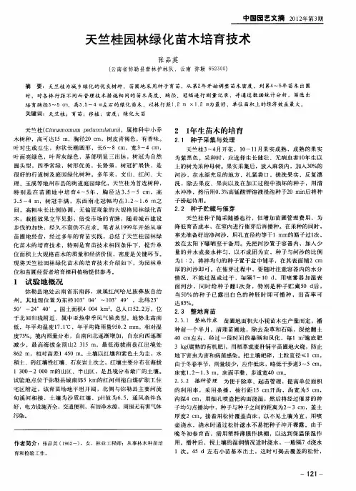 天竺桂园林绿化苗木培育技术