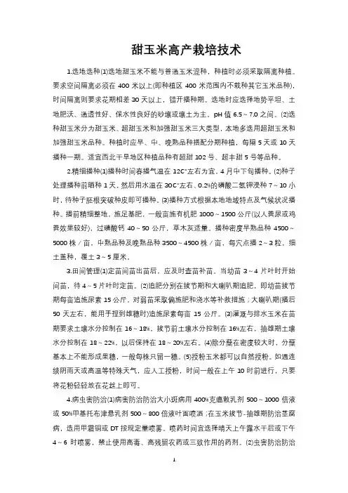 甜玉米高产栽培技术