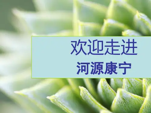 保健食品OEM招商方案