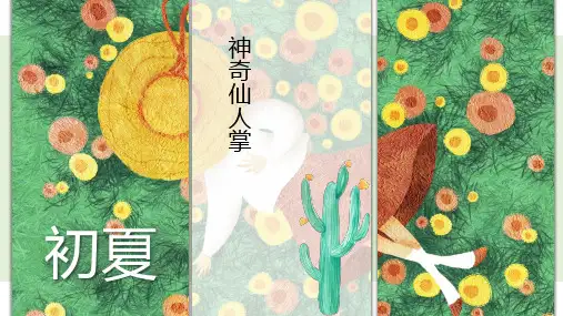 神奇的仙人掌儿童美术PPT课件