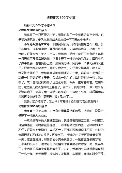 动物作文300字小猫4篇