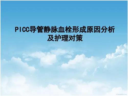 PICC案例分析 PPT课件