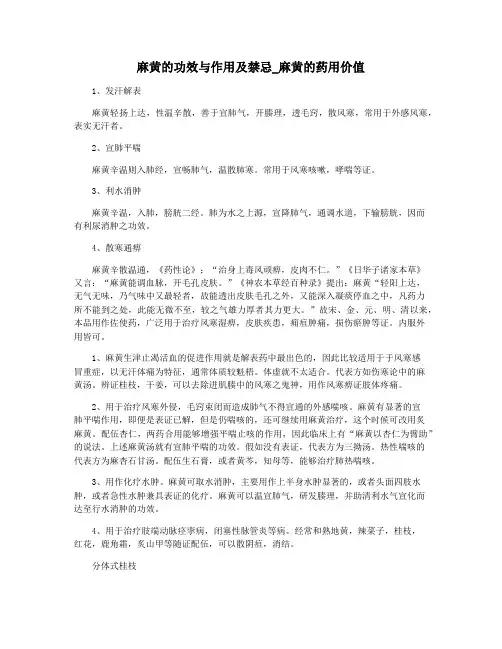 麻黄的功效与作用及禁忌_麻黄的药用价值